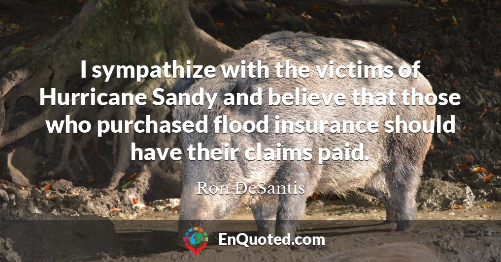 I sympathize with the victims of Hurricane Sandy and believe that those who purchased flood insurance should have their claims paid.