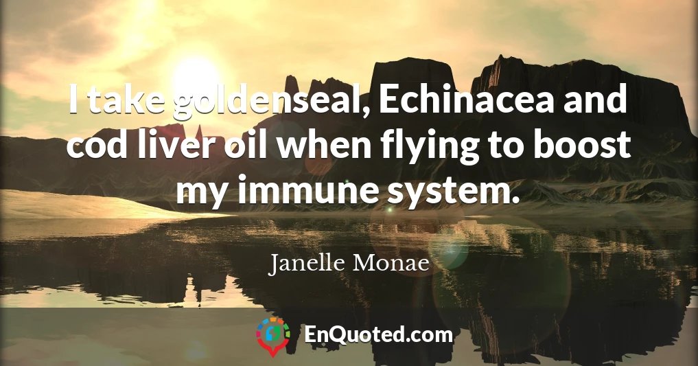 I take goldenseal, Echinacea and cod liver oil when flying to boost my immune system.