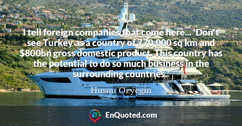 I tell foreign companies that come here... 'Don't see Turkey as a country of 770,000 sq km and $800bn gross domestic product. This country has the potential to do so much business in the surrounding countries.'