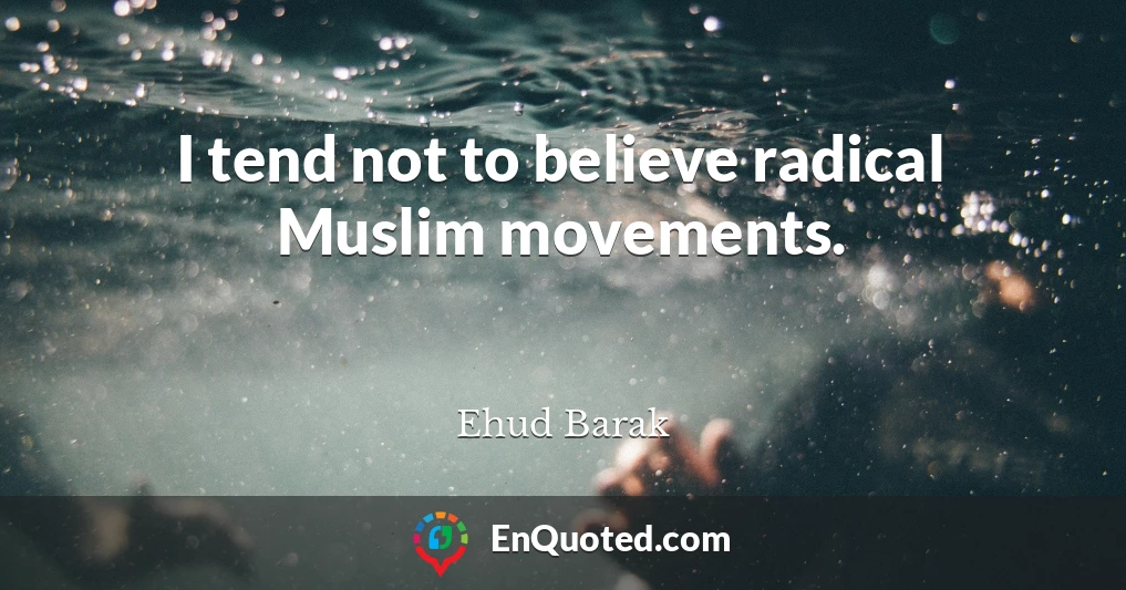 I tend not to believe radical Muslim movements.