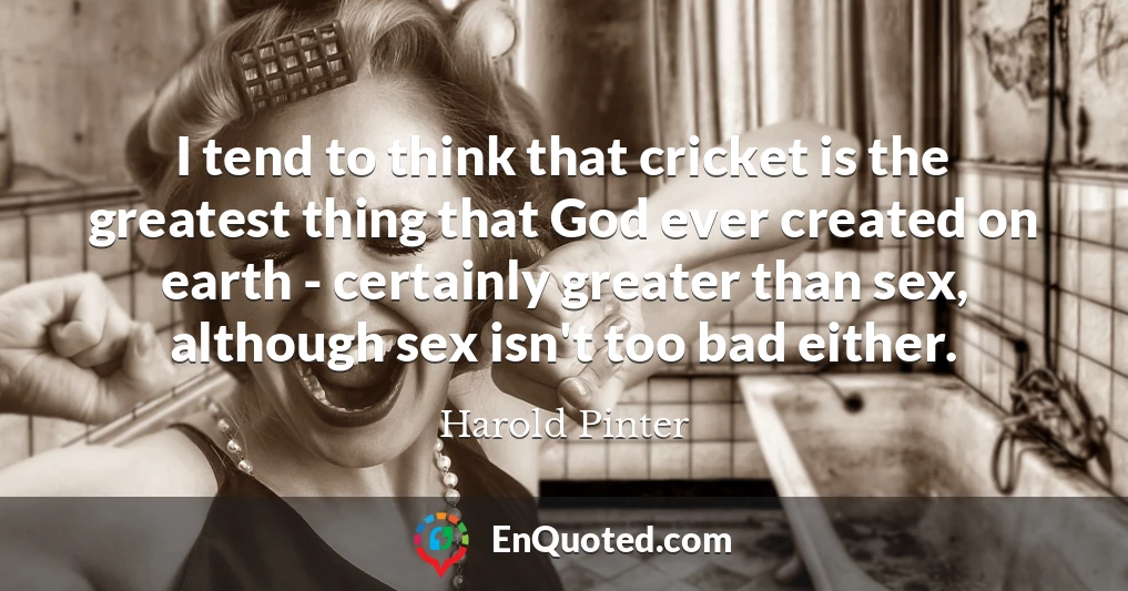 I tend to think that cricket is the greatest thing that God ever created on earth - certainly greater than sex, although sex isn't too bad either.