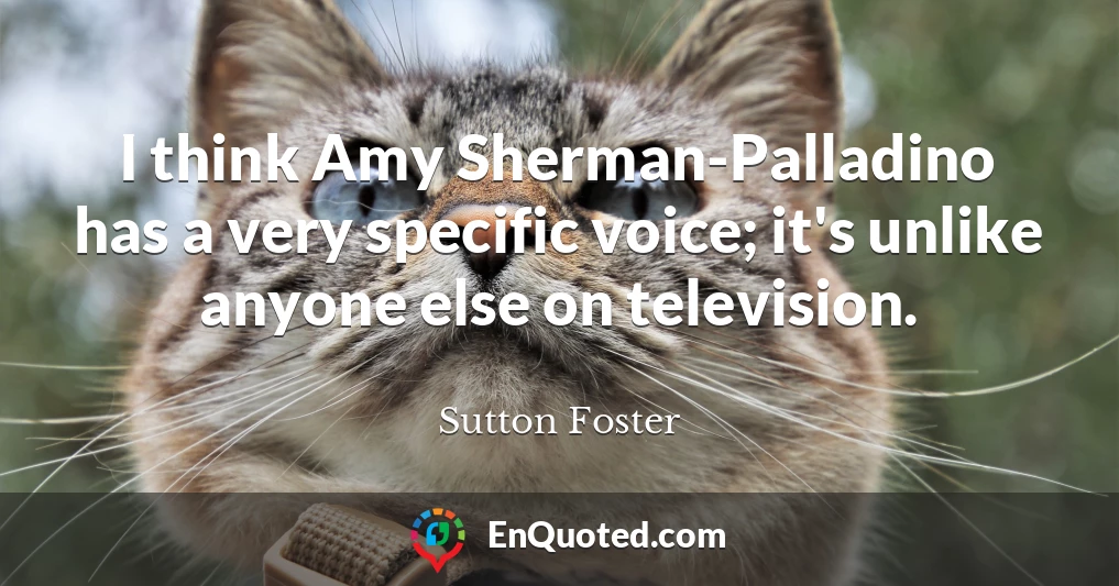 I think Amy Sherman-Palladino has a very specific voice; it's unlike anyone else on television.