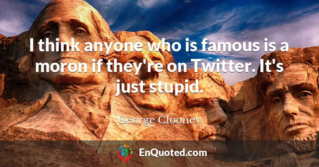 I think anyone who is famous is a moron if they're on Twitter. It's just stupid.