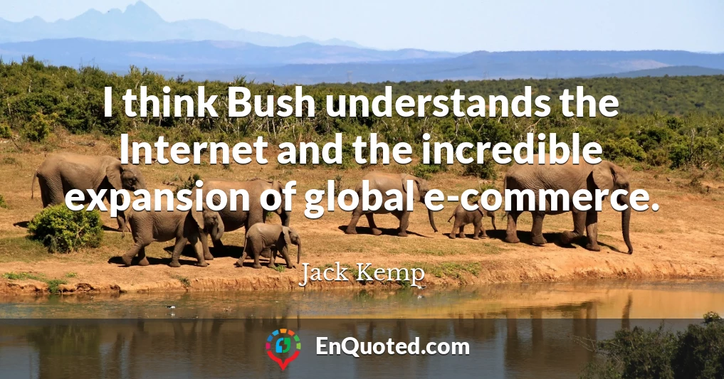I think Bush understands the Internet and the incredible expansion of global e-commerce.