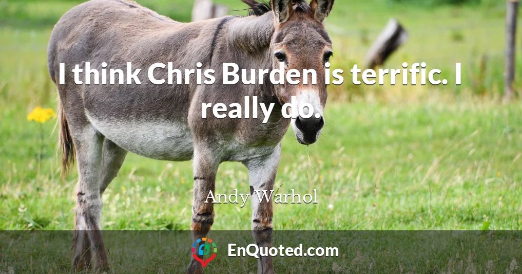 I think Chris Burden is terrific. I really do.
