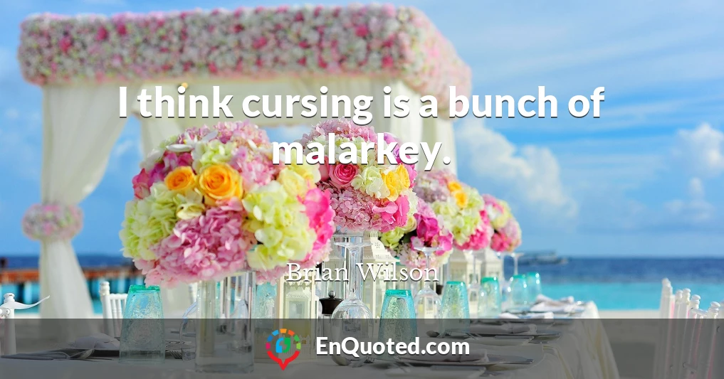 I think cursing is a bunch of malarkey.