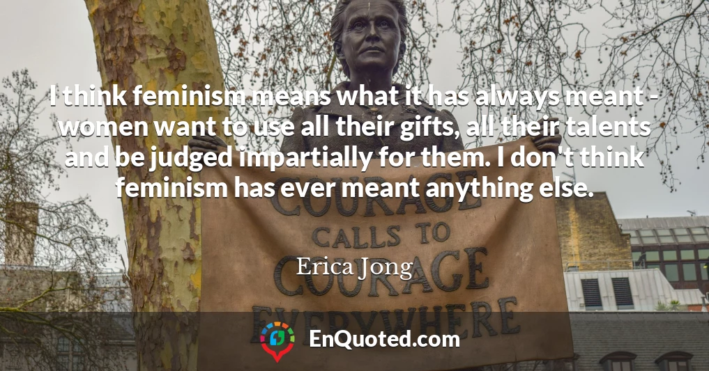 I think feminism means what it has always meant - women want to use all their gifts, all their talents and be judged impartially for them. I don't think feminism has ever meant anything else.