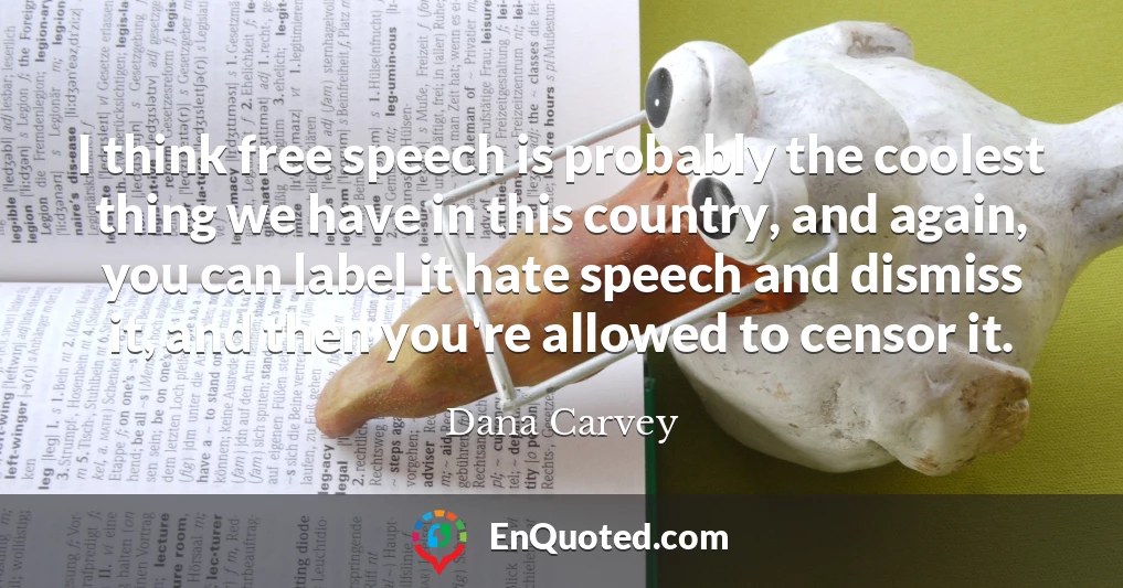 I think free speech is probably the coolest thing we have in this country, and again, you can label it hate speech and dismiss it, and then you're allowed to censor it.