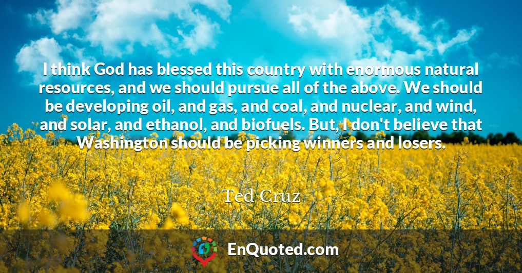 I think God has blessed this country with enormous natural resources, and we should pursue all of the above. We should be developing oil, and gas, and coal, and nuclear, and wind, and solar, and ethanol, and biofuels. But, I don't believe that Washington should be picking winners and losers.