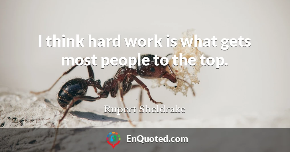 I think hard work is what gets most people to the top.