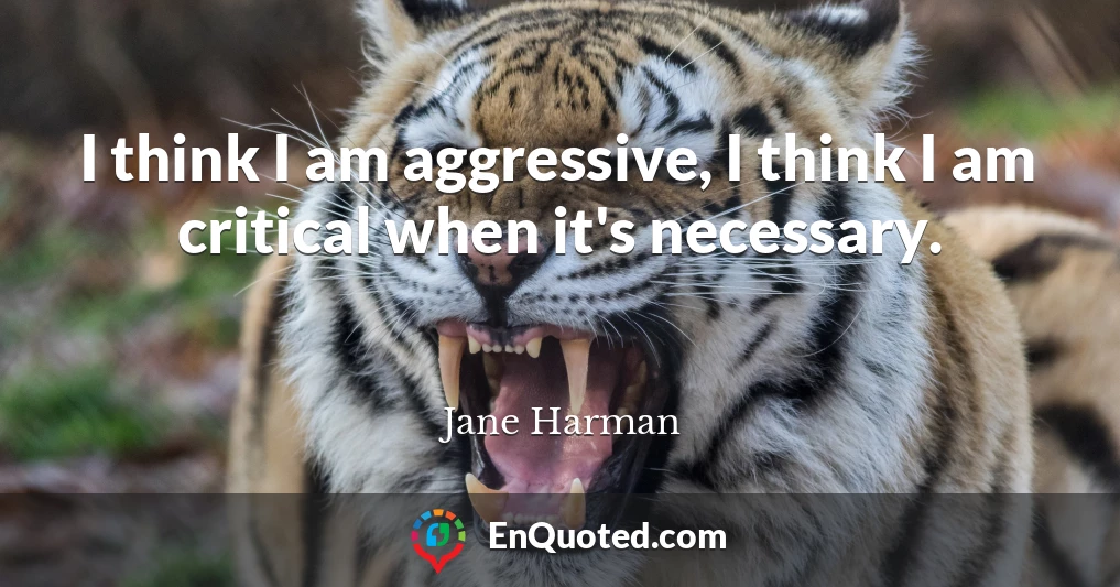 I think I am aggressive, I think I am critical when it's necessary.