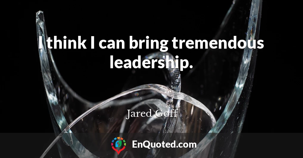 I think I can bring tremendous leadership.