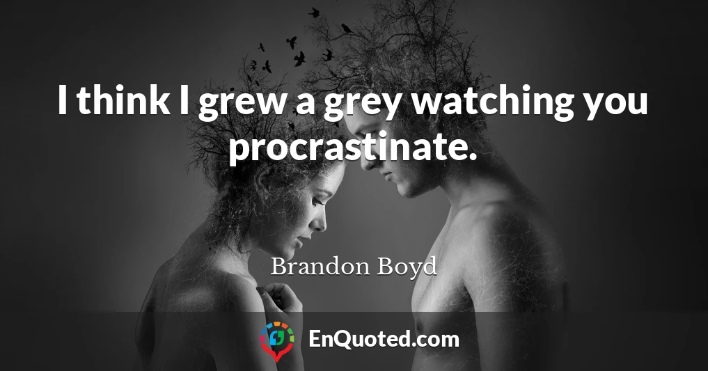 I think I grew a grey watching you procrastinate.