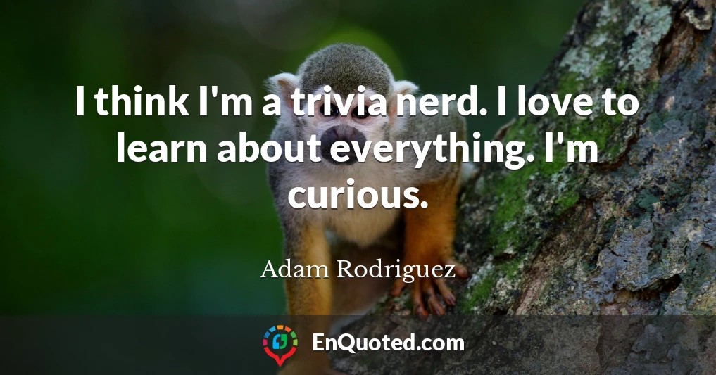 I think I'm a trivia nerd. I love to learn about everything. I'm curious.