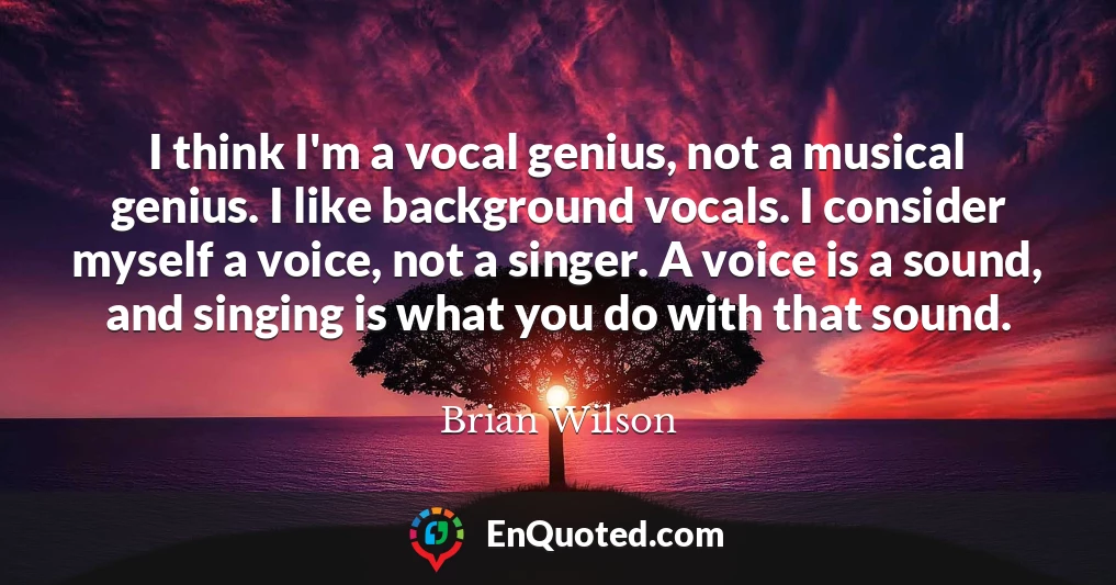 I think I'm a vocal genius, not a musical genius. I like background vocals. I consider myself a voice, not a singer. A voice is a sound, and singing is what you do with that sound.
