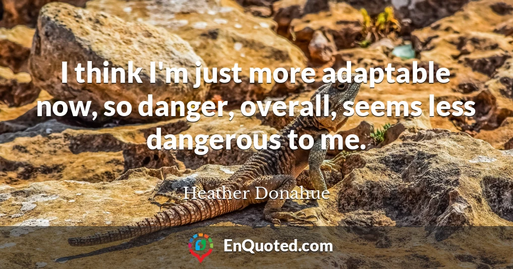 I think I'm just more adaptable now, so danger, overall, seems less dangerous to me.