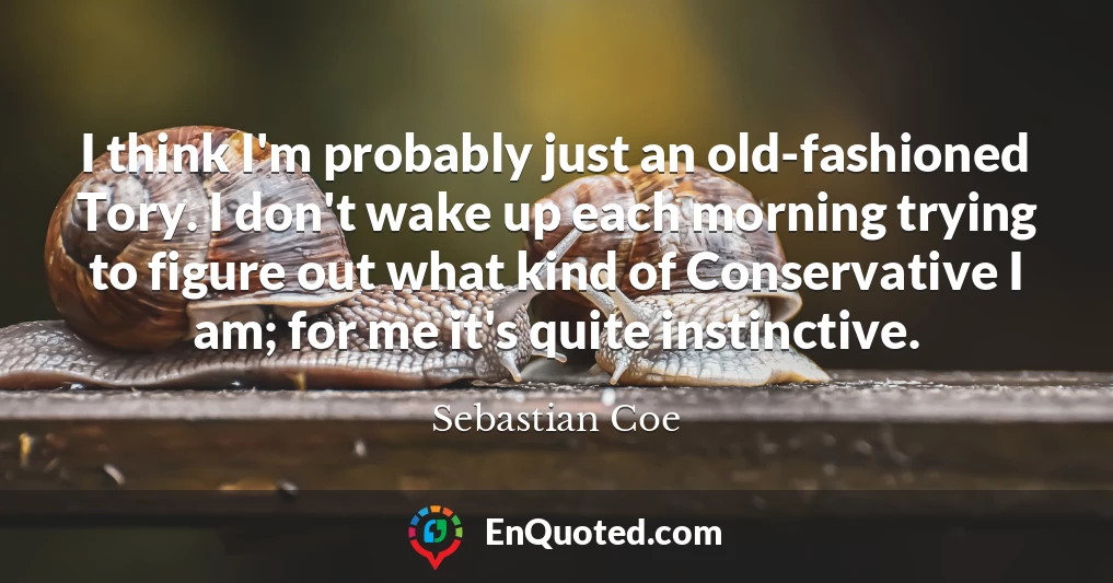 I think I'm probably just an old-fashioned Tory. I don't wake up each morning trying to figure out what kind of Conservative I am; for me it's quite instinctive.