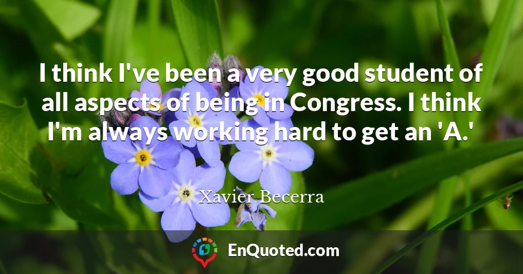 I think I've been a very good student of all aspects of being in Congress. I think I'm always working hard to get an 'A.'