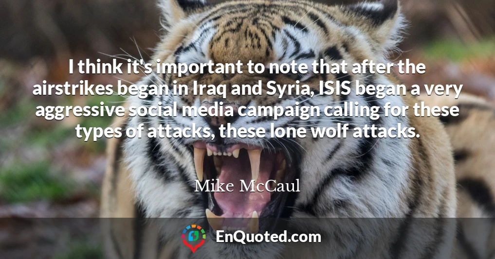 I think it's important to note that after the airstrikes began in Iraq and Syria, ISIS began a very aggressive social media campaign calling for these types of attacks, these lone wolf attacks.