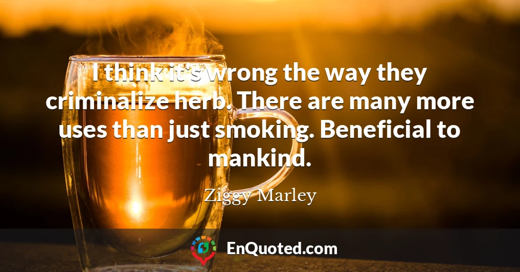 I think it's wrong the way they criminalize herb. There are many more uses than just smoking. Beneficial to mankind.