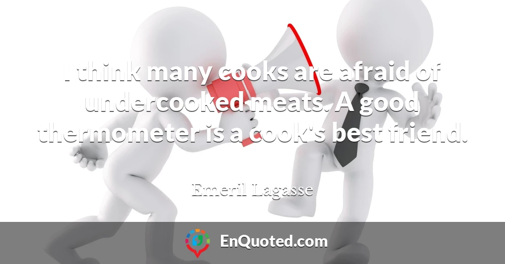 I think many cooks are afraid of undercooked meats. A good thermometer is a cook's best friend.