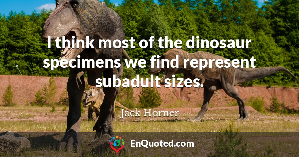 I think most of the dinosaur specimens we find represent subadult sizes.