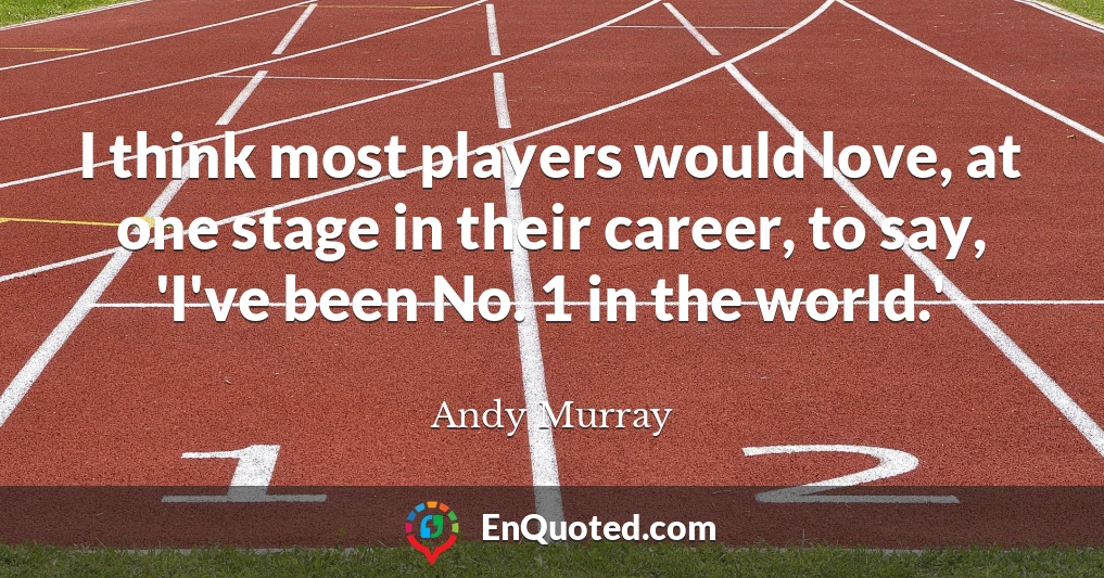 I think most players would love, at one stage in their career, to say, 'I've been No. 1 in the world.'