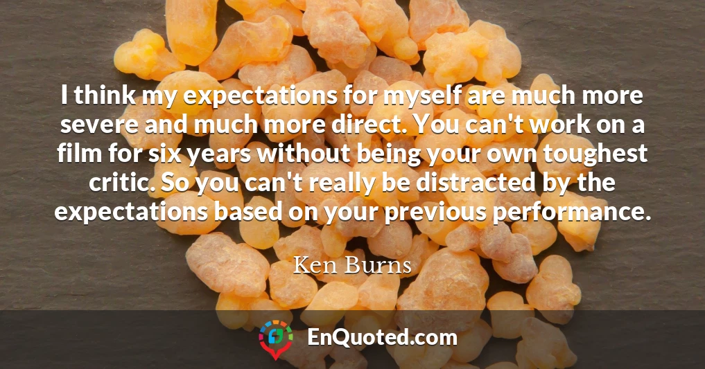 I think my expectations for myself are much more severe and much more direct. You can't work on a film for six years without being your own toughest critic. So you can't really be distracted by the expectations based on your previous performance.