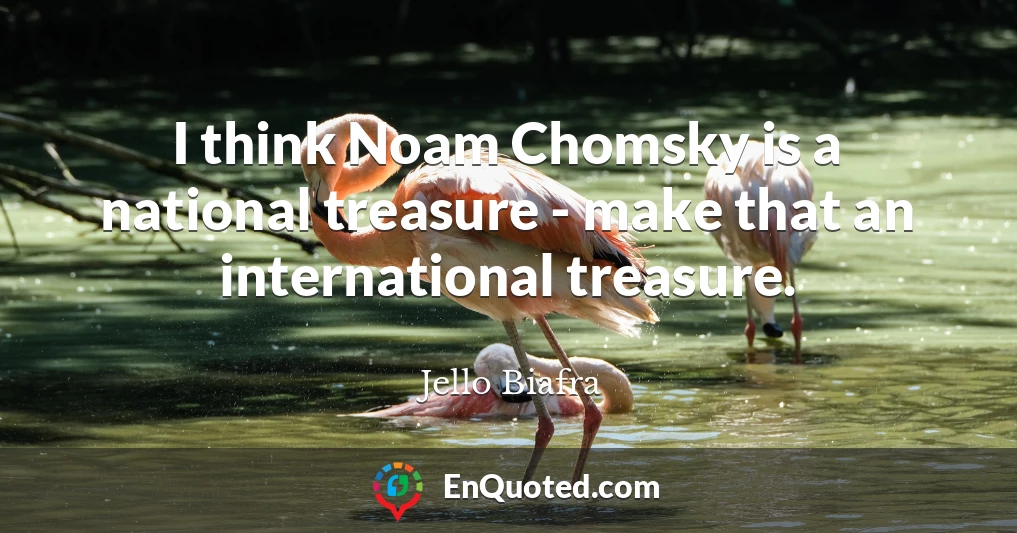 I think Noam Chomsky is a national treasure - make that an international treasure.