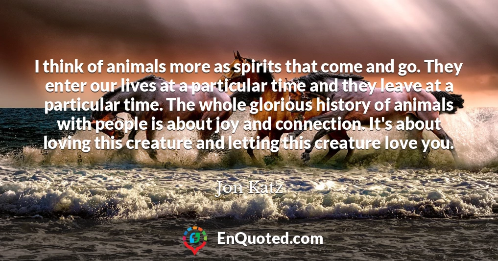 I think of animals more as spirits that come and go. They enter our lives at a particular time and they leave at a particular time. The whole glorious history of animals with people is about joy and connection. It's about loving this creature and letting this creature love you.