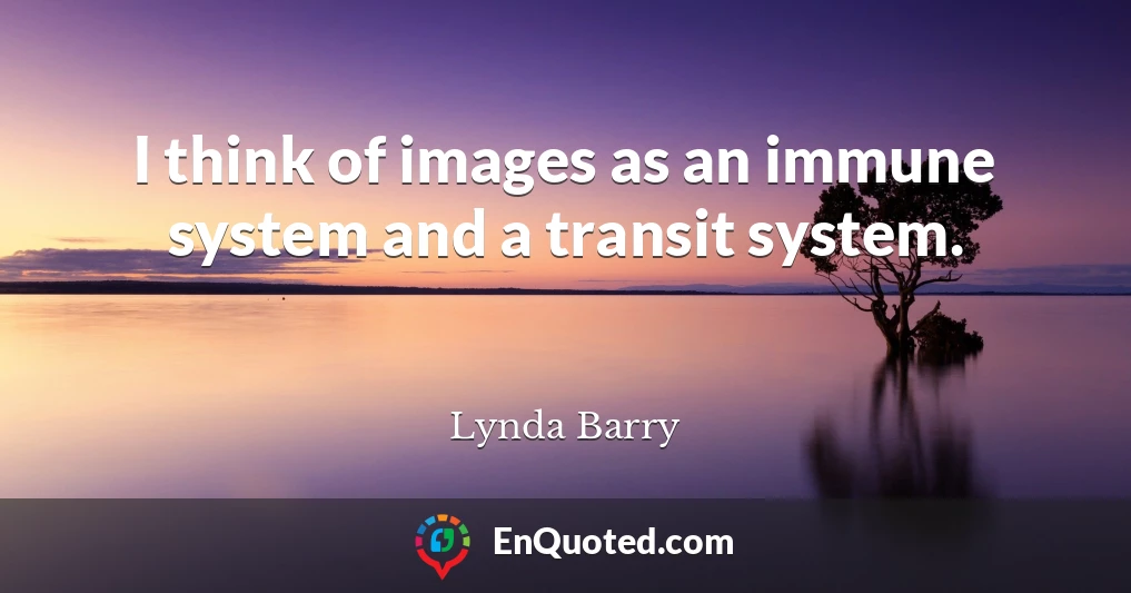 I think of images as an immune system and a transit system.