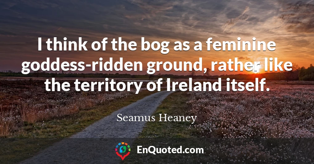 I think of the bog as a feminine goddess-ridden ground, rather like the territory of Ireland itself.