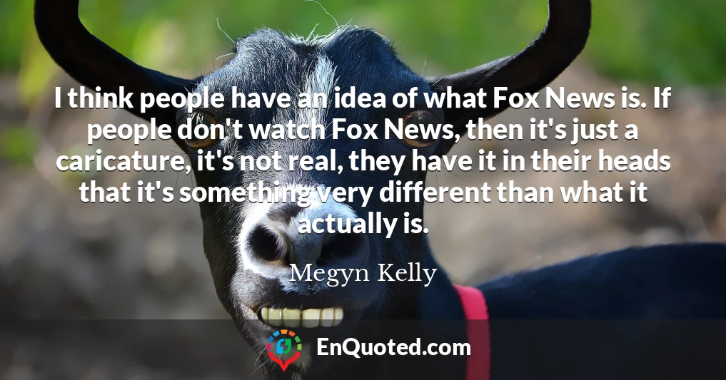 I think people have an idea of what Fox News is. If people don't watch Fox News, then it's just a caricature, it's not real, they have it in their heads that it's something very different than what it actually is.