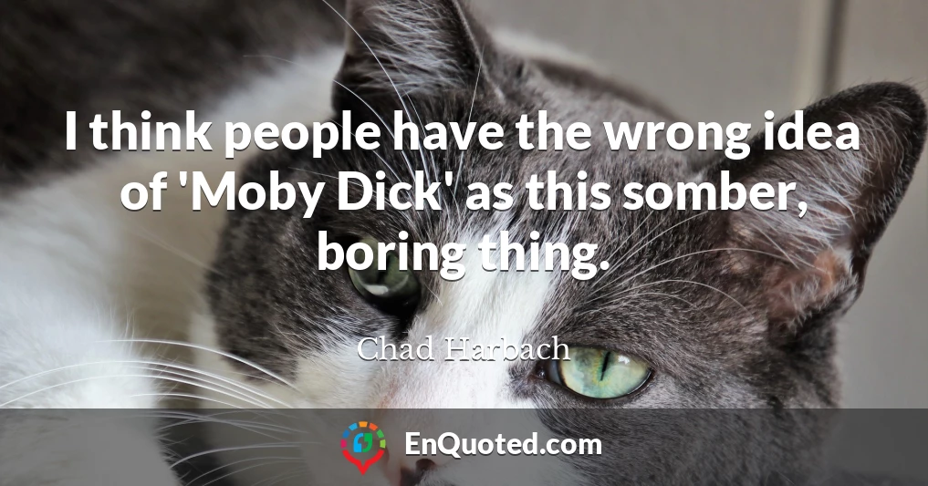I think people have the wrong idea of 'Moby Dick' as this somber, boring thing.