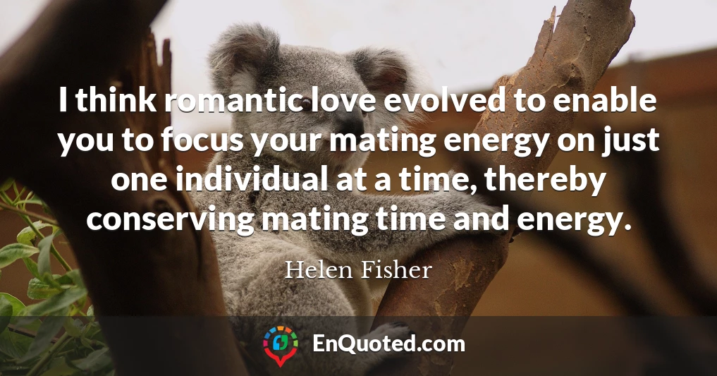 I think romantic love evolved to enable you to focus your mating energy on just one individual at a time, thereby conserving mating time and energy.