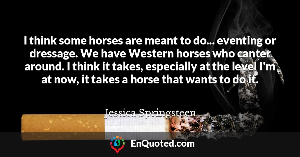 I think some horses are meant to do... eventing or dressage. We have Western horses who canter around. I think it takes, especially at the level I'm at now, it takes a horse that wants to do it.
