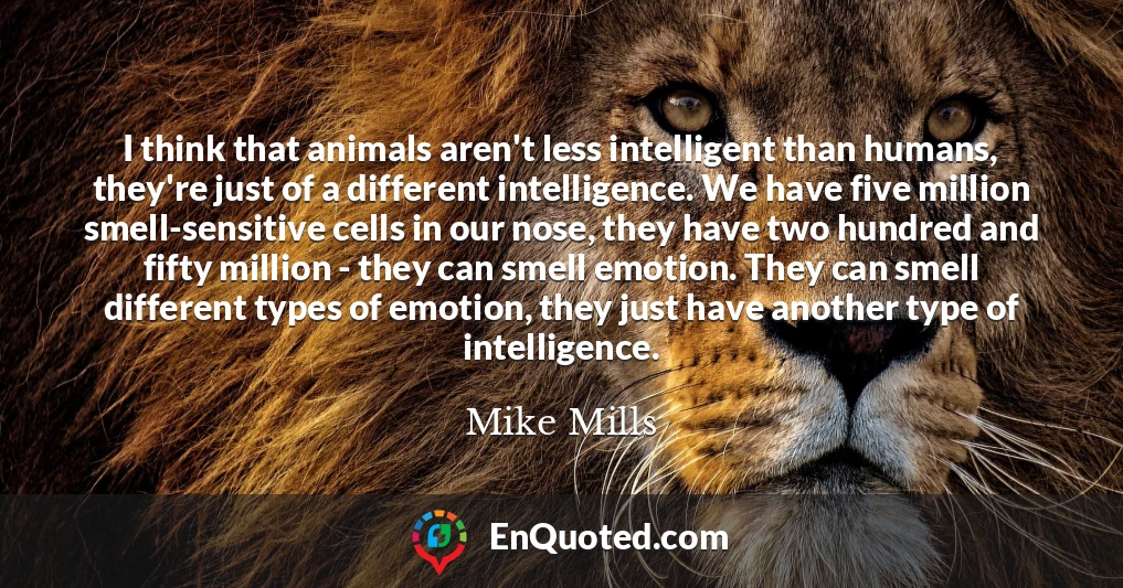 I think that animals aren't less intelligent than humans, they're just of a different intelligence. We have five million smell-sensitive cells in our nose, they have two hundred and fifty million - they can smell emotion. They can smell different types of emotion, they just have another type of intelligence.