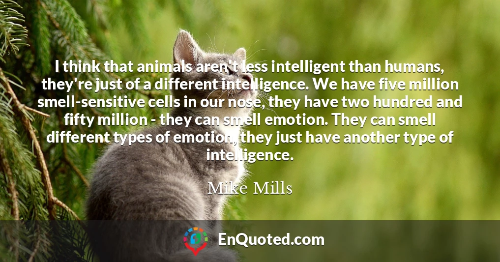 I think that animals aren't less intelligent than humans, they're just of a different intelligence. We have five million smell-sensitive cells in our nose, they have two hundred and fifty million - they can smell emotion. They can smell different types of emotion, they just have another type of intelligence.