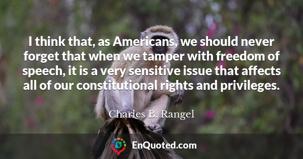 I think that, as Americans, we should never forget that when we tamper with freedom of speech, it is a very sensitive issue that affects all of our constitutional rights and privileges.