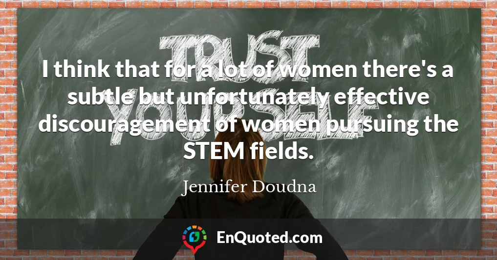 I think that for a lot of women there's a subtle but unfortunately effective discouragement of women pursuing the STEM fields.