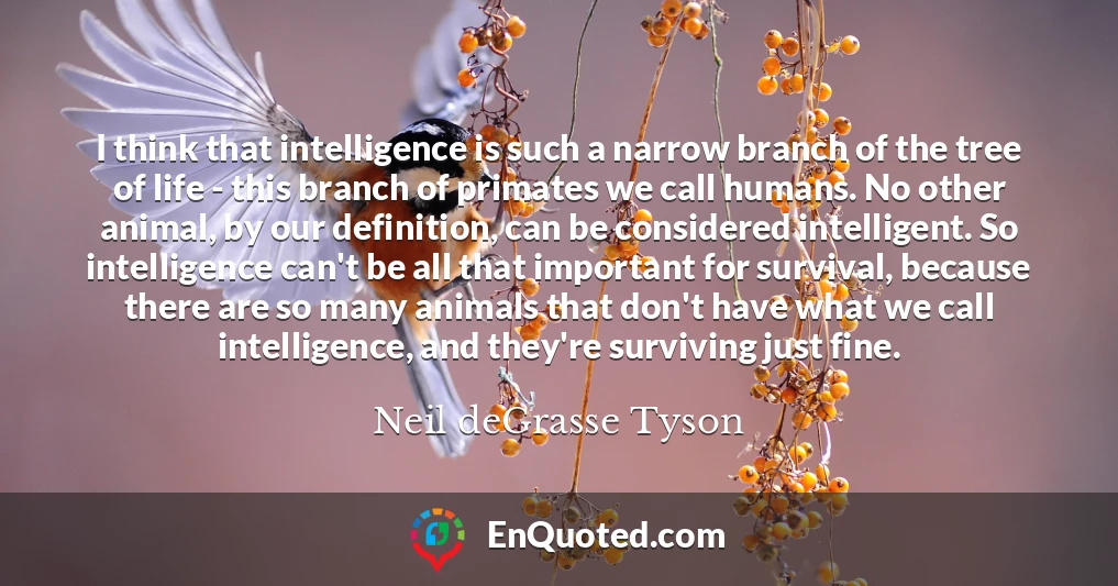 I think that intelligence is such a narrow branch of the tree of life - this branch of primates we call humans. No other animal, by our definition, can be considered intelligent. So intelligence can't be all that important for survival, because there are so many animals that don't have what we call intelligence, and they're surviving just fine.