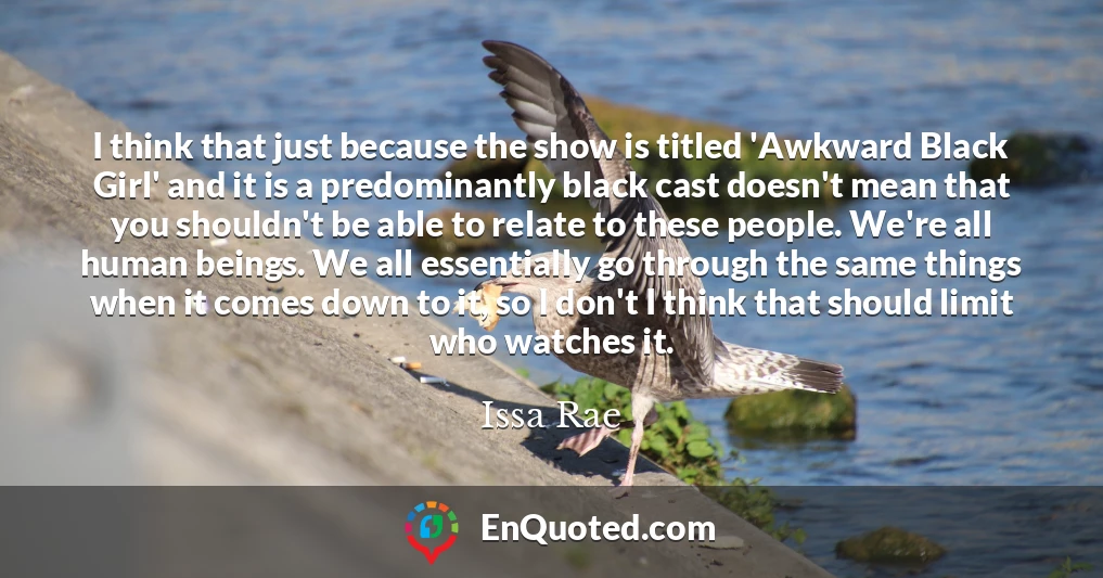 I think that just because the show is titled 'Awkward Black Girl' and it is a predominantly black cast doesn't mean that you shouldn't be able to relate to these people. We're all human beings. We all essentially go through the same things when it comes down to it, so I don't I think that should limit who watches it.