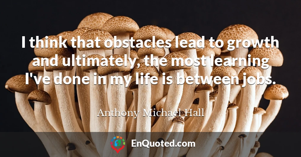 I think that obstacles lead to growth and ultimately, the most learning I've done in my life is between jobs.