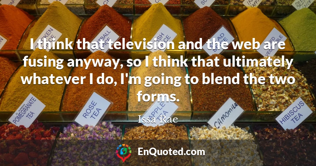 I think that television and the web are fusing anyway, so I think that ultimately whatever I do, I'm going to blend the two forms.