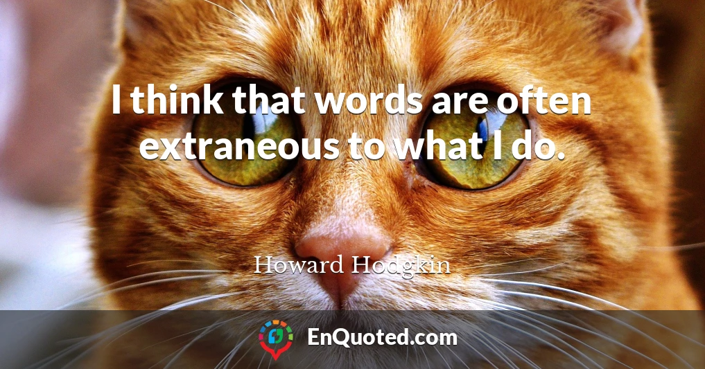 I think that words are often extraneous to what I do.