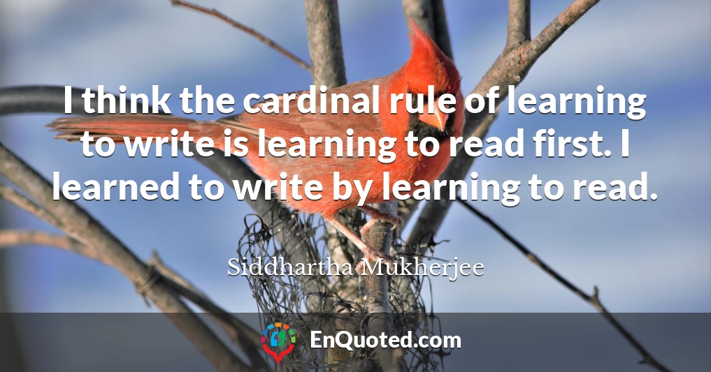 I think the cardinal rule of learning to write is learning to read first. I learned to write by learning to read.