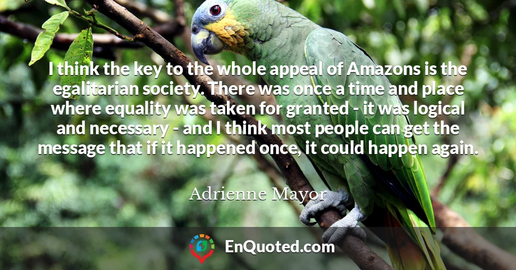I think the key to the whole appeal of Amazons is the egalitarian society. There was once a time and place where equality was taken for granted - it was logical and necessary - and I think most people can get the message that if it happened once, it could happen again.