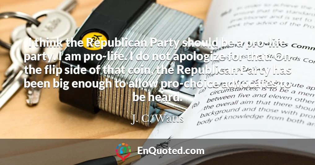I think the Republican Party should be a pro-life party. I am pro-life. I do not apologize for that. On the flip side of that coin, the Republican Party has been big enough to allow pro-choice advocates to be heard.