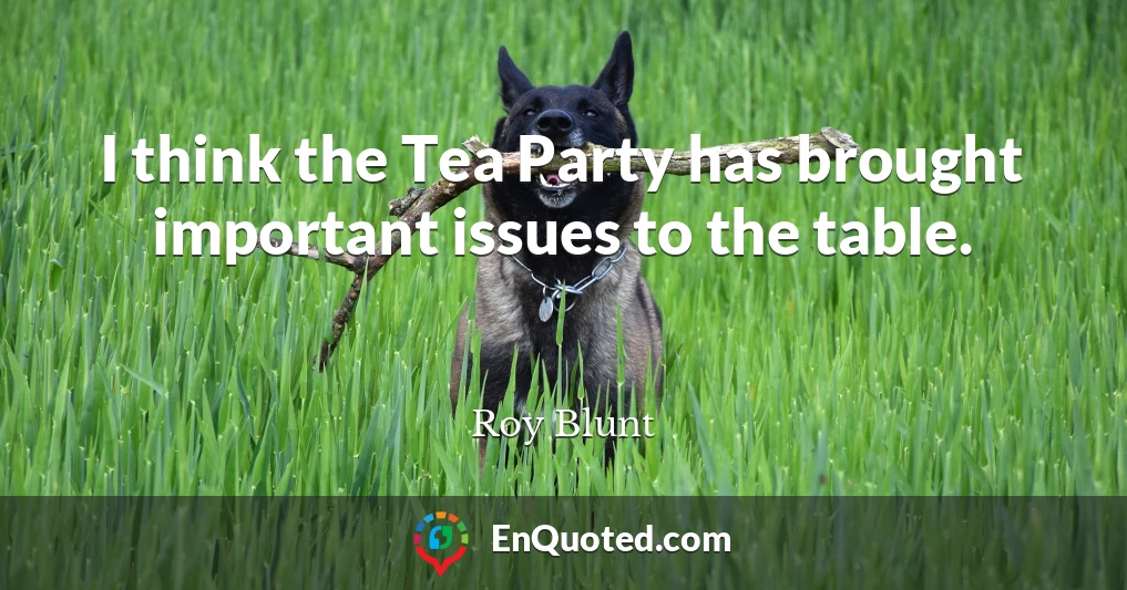 I think the Tea Party has brought important issues to the table.