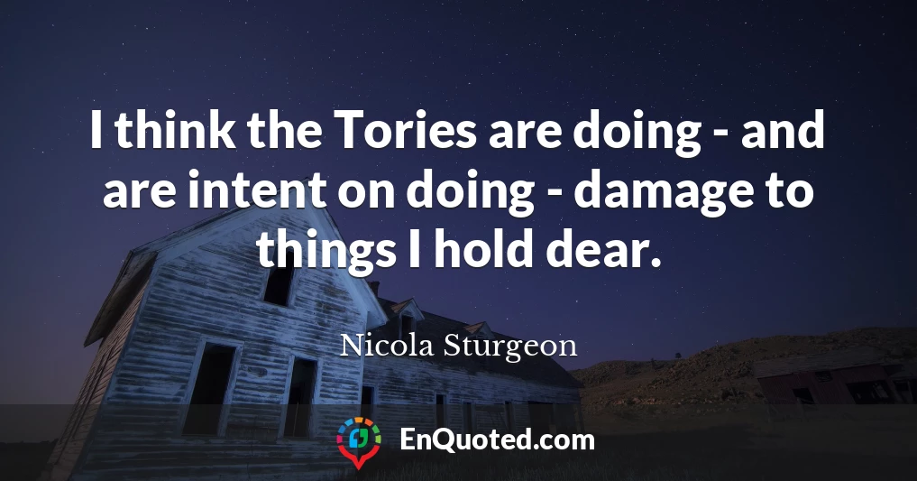 I think the Tories are doing - and are intent on doing - damage to things I hold dear.